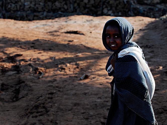 The Population Institute