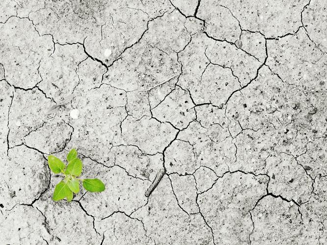 Ecologistes en acció